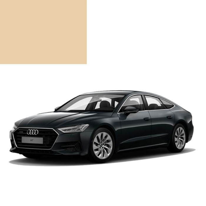 Купити Фарба за кодом металік бежева Hellelfenbein 9102 для автомобілів Audi в Україні