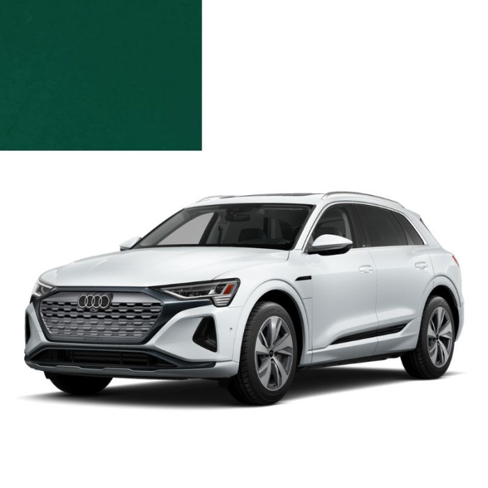 Купити Фарба за кодом акрилова зелена L629 MINZGRUEN, RAL 6029 для автомобілів Audi в Україні