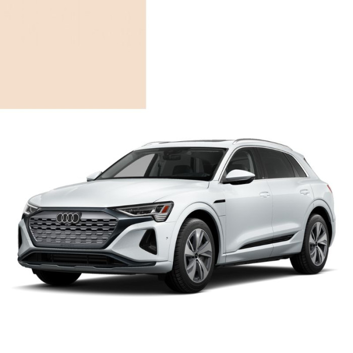 Купити Фарба за кодом акрилова бежева L91Z ATLASWEISS для автомобілів Audi в Україні
