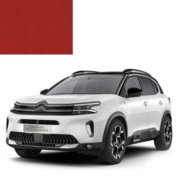 Купити Фарба за кодом акрилова червона EJH ROUGE PTT HOLLANDE для автомобілів Citroen в Україні