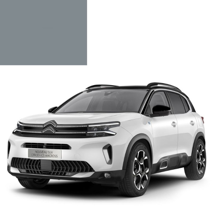 Купити Фарба за кодом акрилова сіра EYK APPRET GRIS MOYEN для автомобілів Citroen в Україні