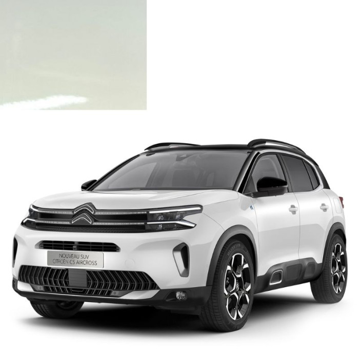Купити Фарба за кодом акрилова біла H9 BLANC ANTARCTIQUE для автомобілів Citroen в Україні