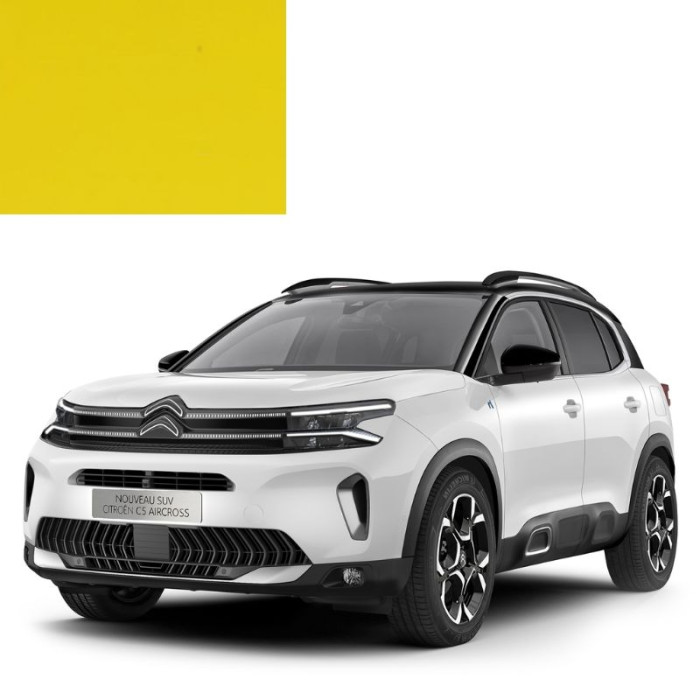 Купити Фарба за кодом акрилова жовта KBL JAUNE CITRUS для автомобілів Citroen в Україні