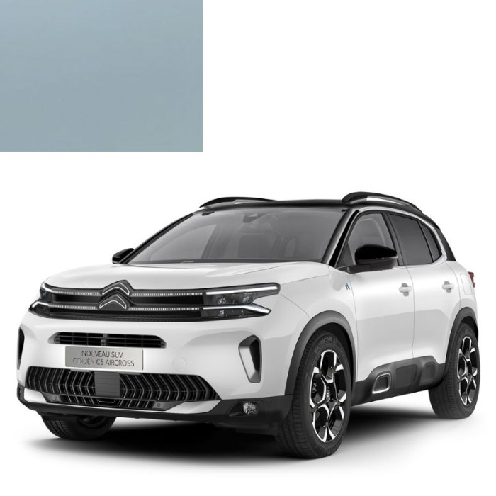 Купити Фарба за кодом акрилова синя KGX BLEU BOTTICELLI для автомобілів Citroen в Україні