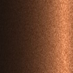 LY8P