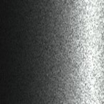 Y24