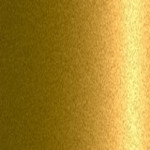 DW004
