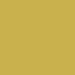Y06