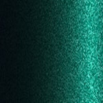 MVZE / NE / MVZEWHA / CA